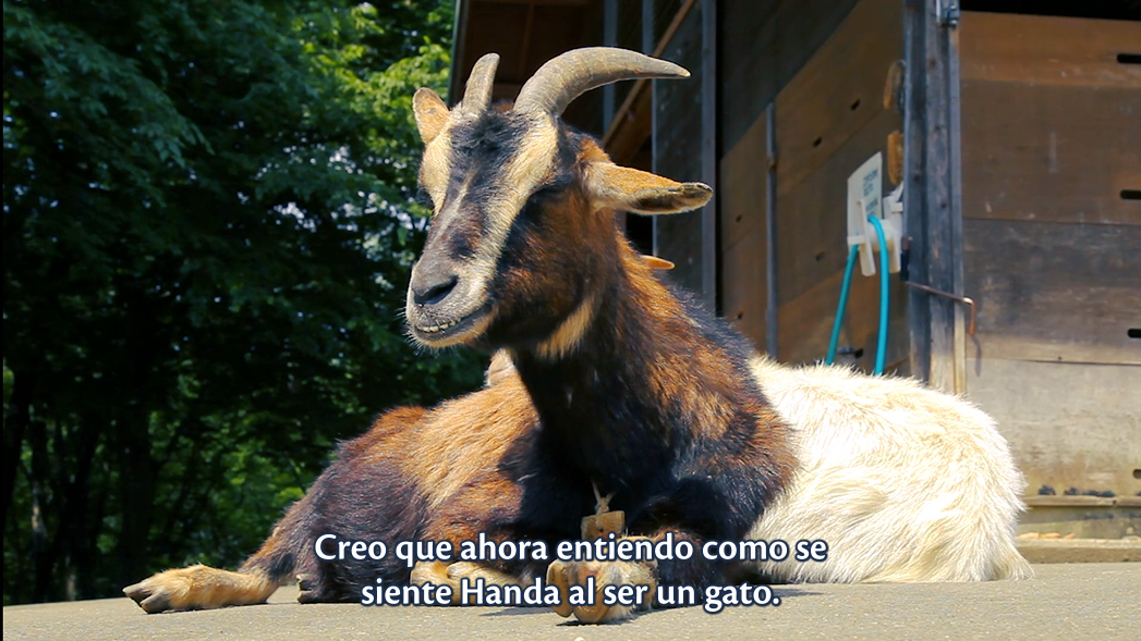 Nora to Oujo to Noraneko Heart (Kite Subs)